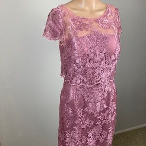 Adrianna Papell Embroidered Pink Lace Long Formal Dress/Gown